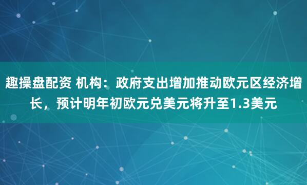 趣操盘配资 机构：政府支出增加推动欧元区经济增长，预计明年初欧元兑美元将升至1.3美元